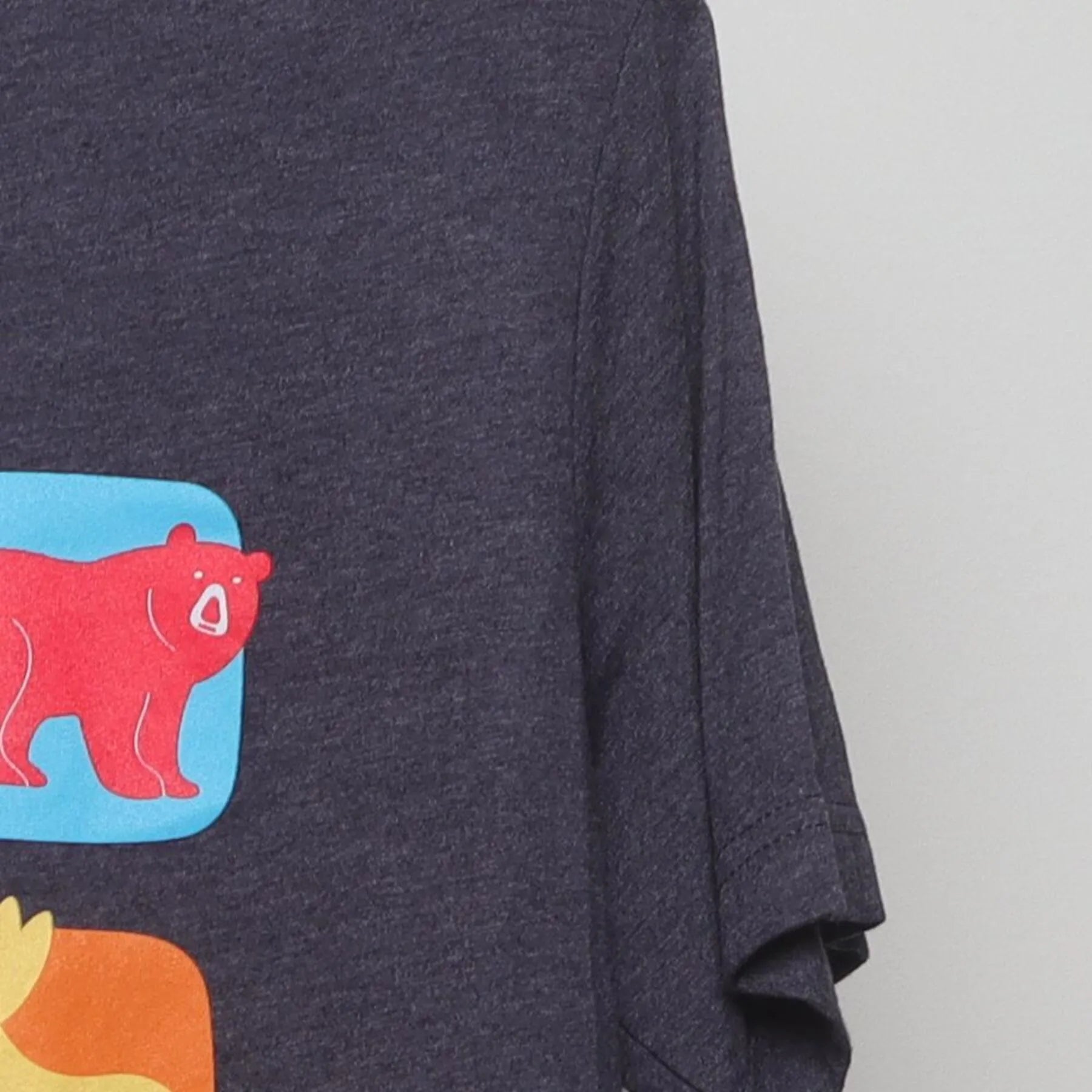 Close-up of the Right sleeve on the Vintage 2010s Phoenix Children's "Colorful Animals Grid" T-Shirt - M