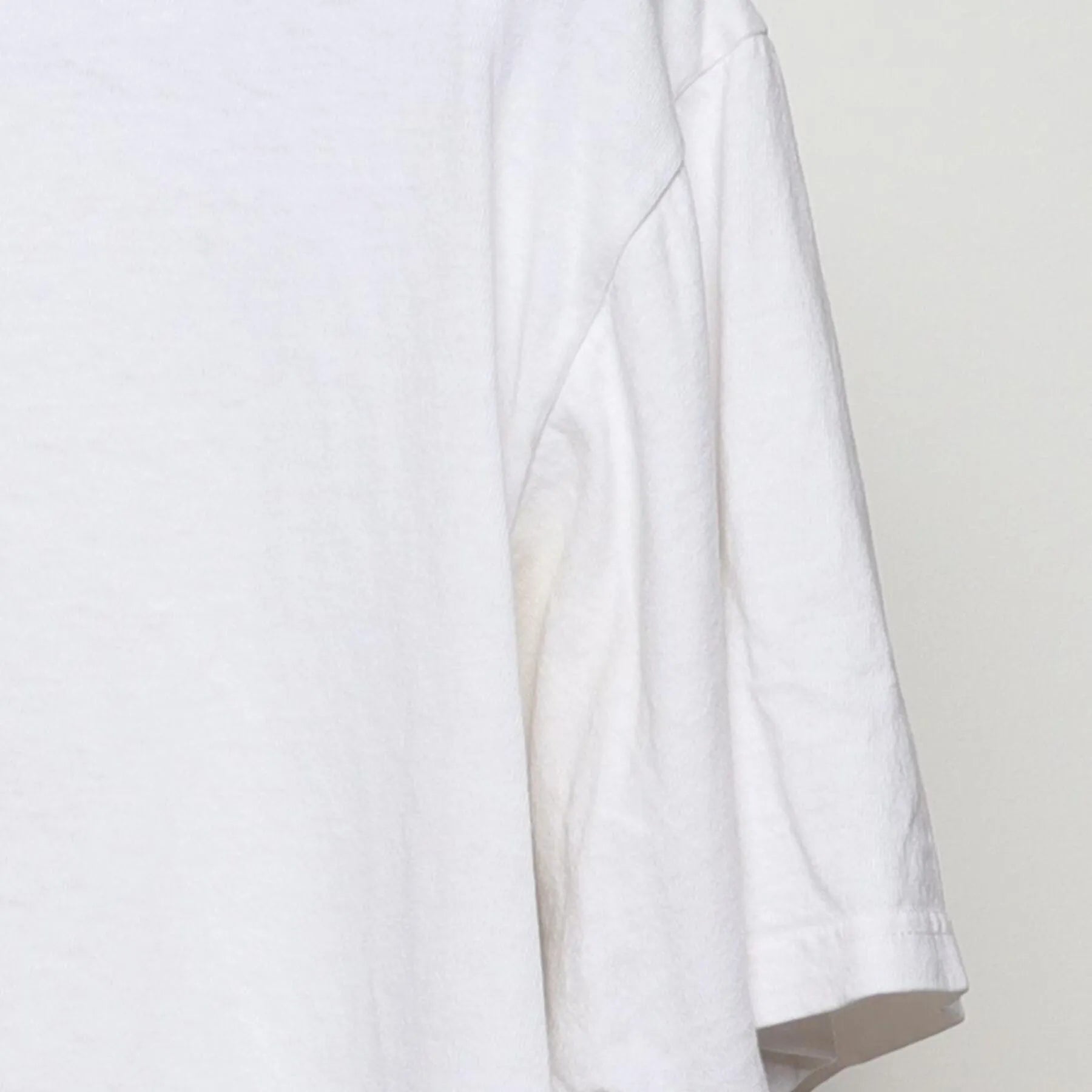 Close-up of the Right sleeve on the Vintage 1990s Beastie Boys "Beastie Fever" T-Shirt - L