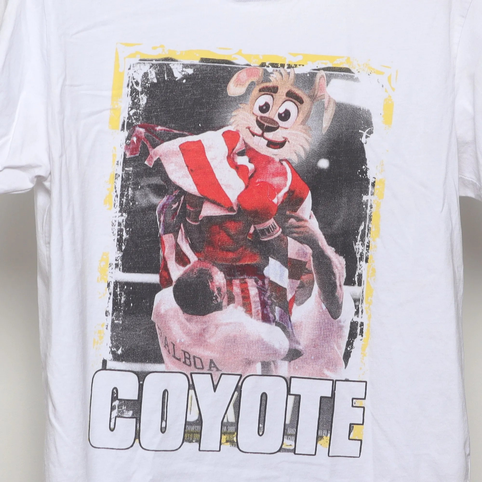 Close-up of the main graphic on the Vintage 2010s Spurs Coyote Rocky Parody Tee L