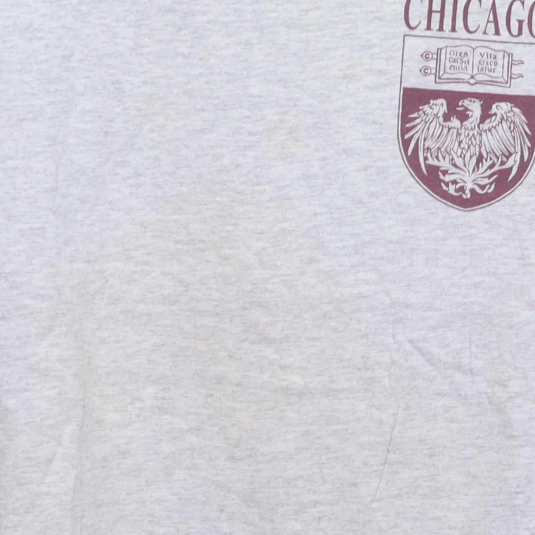 Close-up of the main graphic on the Vintage 1990s Champion "University of Chicago Crest" T-Shirt - L