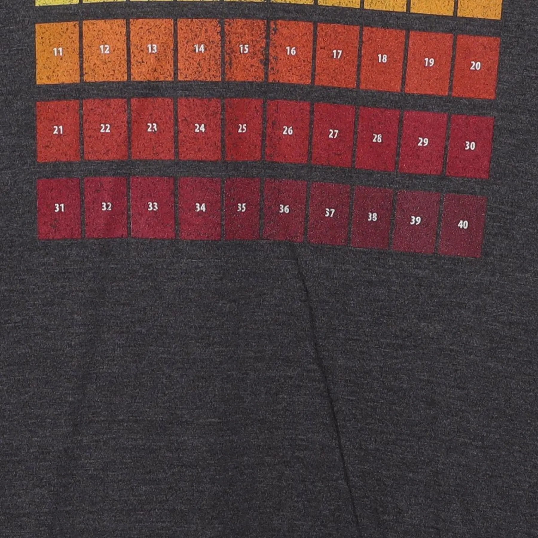Close-up of the main graphic on the Vintage Y2K Craft Beer "Beer Tasting Grid" T-Shirt - M