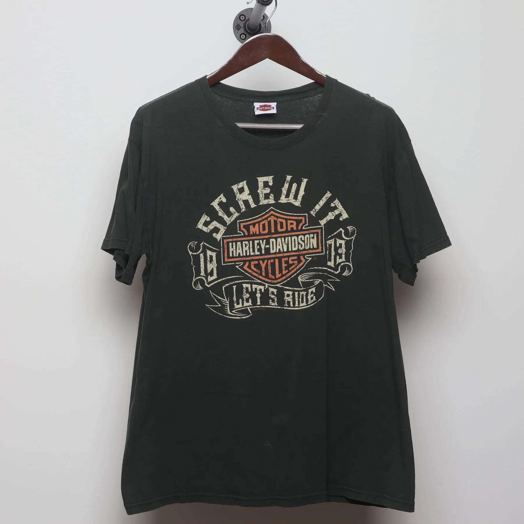 Front view of Vintage Y2K Harley-Davidson "Horny Toad" T-Shirt - L