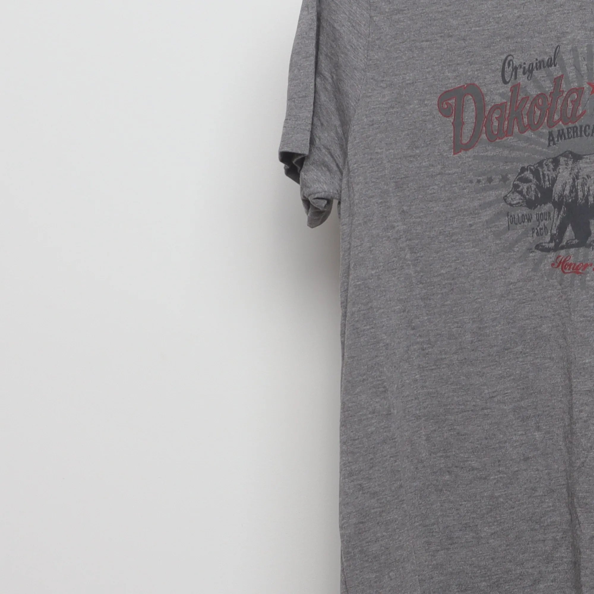 Close-up of the sleeve on the Vintage Modern Dakota Grizzly Bear Graphic Tee M