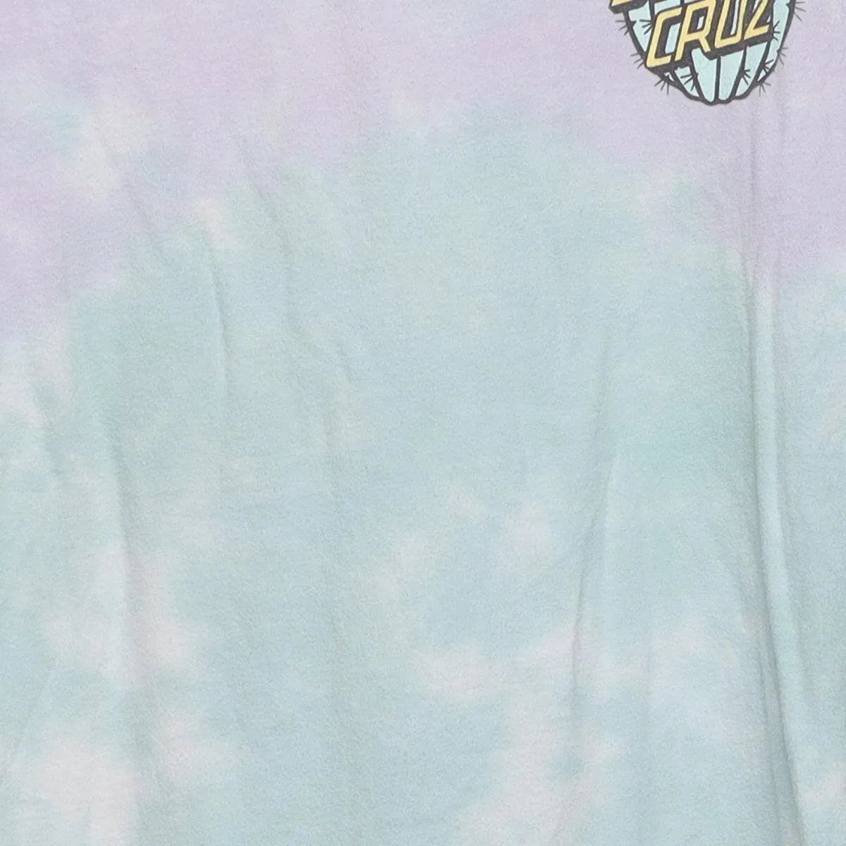 Close-up of the main graphic on the Vintage Modern Santa Cruz "Desert Cactus Logo" T-Shirt - XS