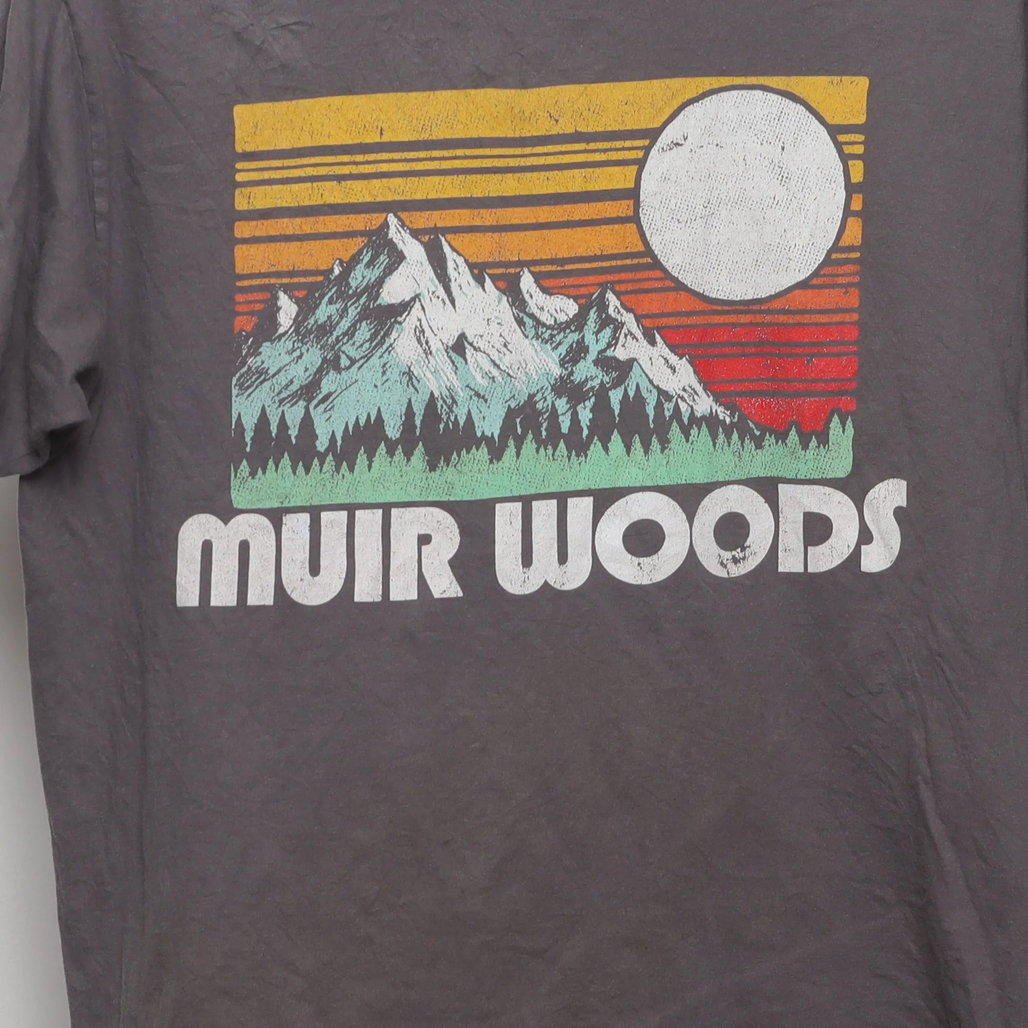 Close-up of the main graphic on the Vintage Muir Woods Retro Sunset Graphic T-Shirt L