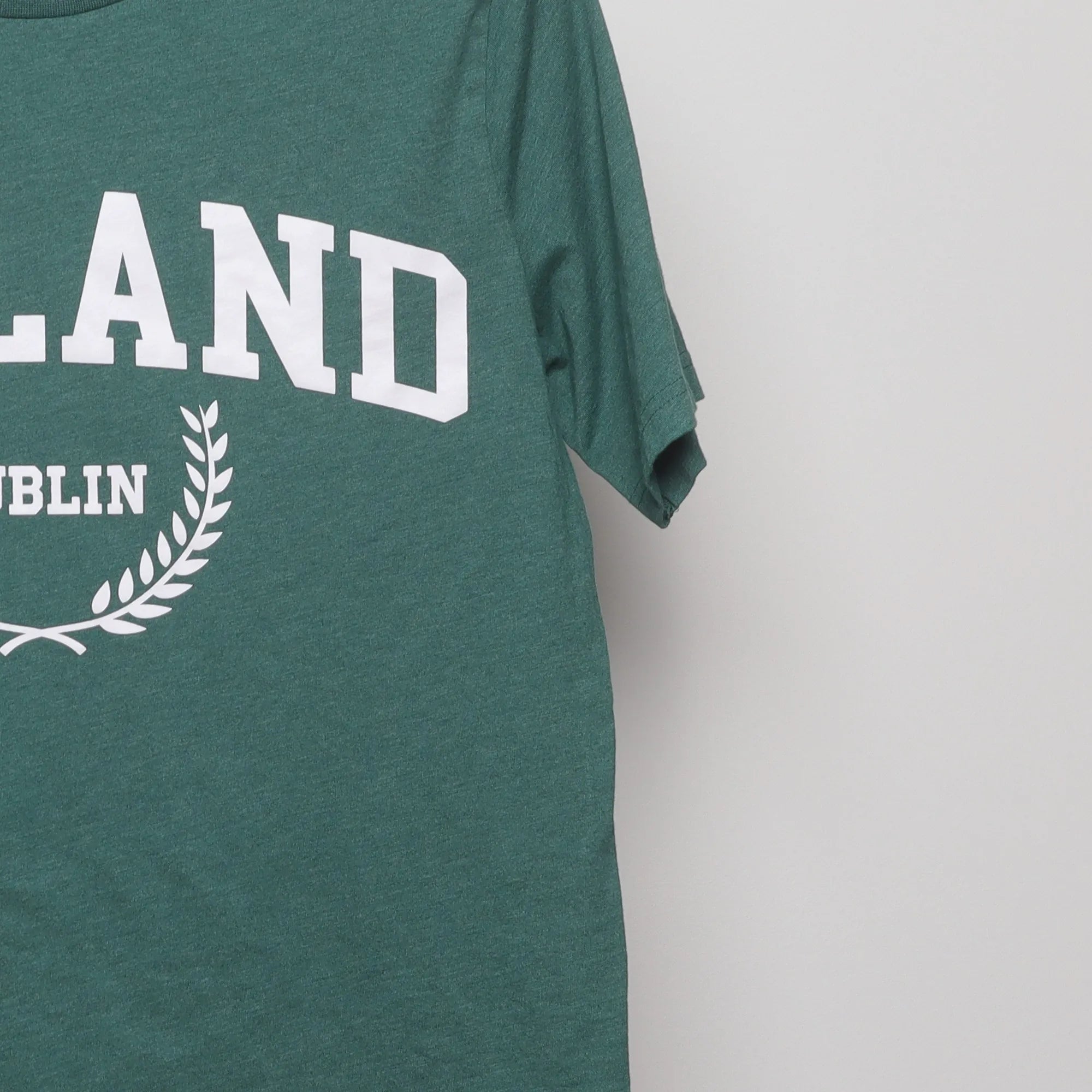 Close-up of the sleeve on the Vintage Style Ireland Dublin Collegiate T-Shirt M