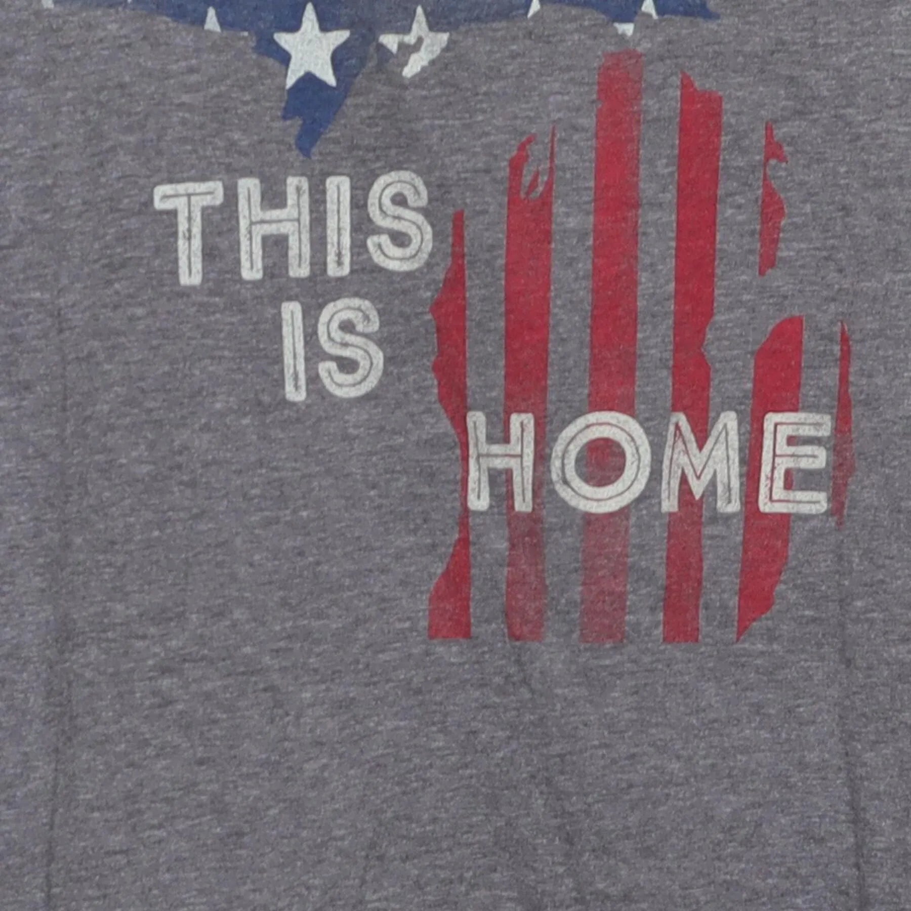 Close-up of the main graphic on the Vintage Y2K Michigan "This Is Home" T-Shirt - L