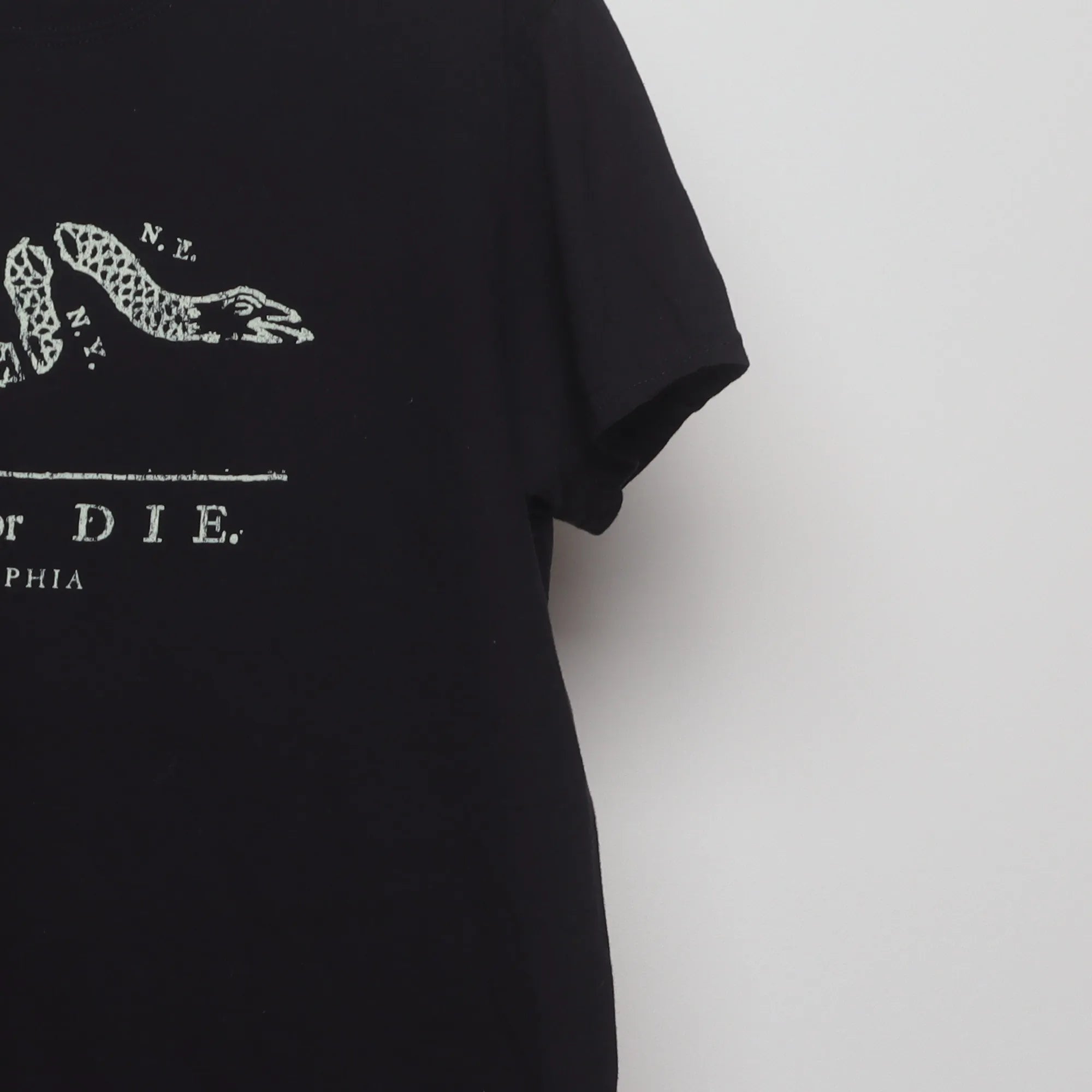 Close-up of the sleeve on the Modern Join or Die Ben Franklin T-Shirt L