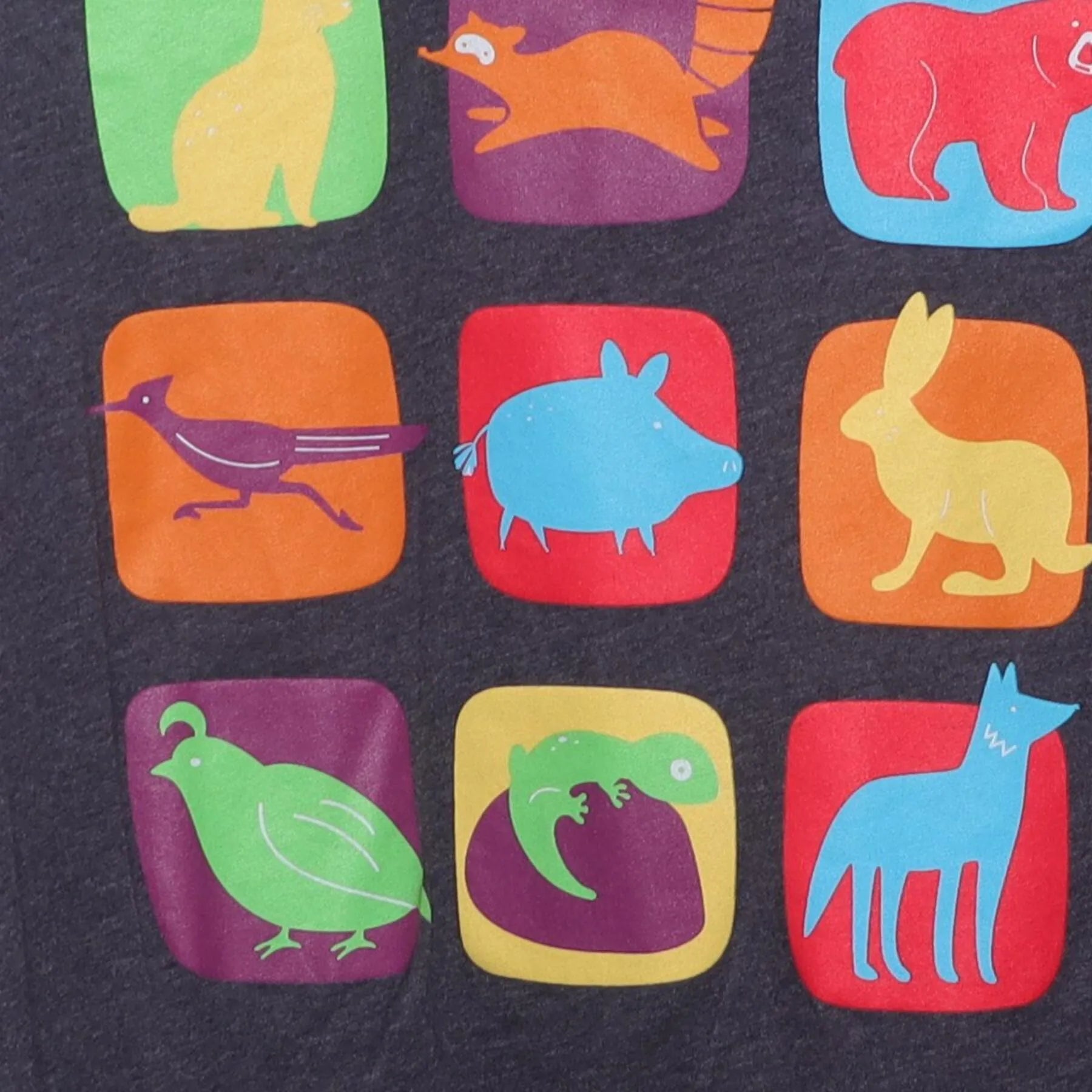 Close-up of the main graphic on the Vintage 2010s Phoenix Children's "Colorful Animals Grid" T-Shirt - M