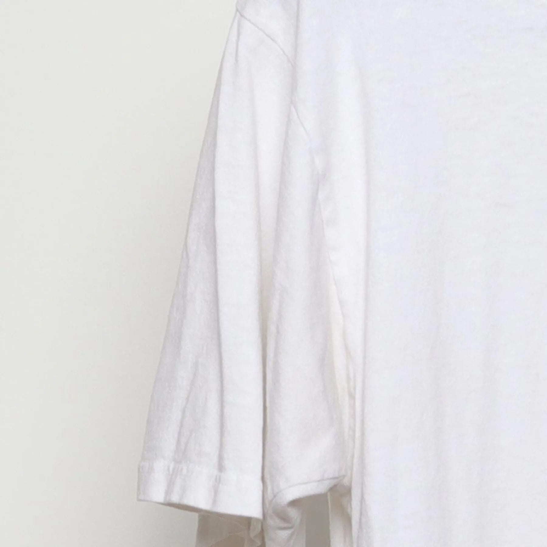 Close-up of the Left sleeve on the Vintage 1990s Beastie Boys "Beastie Fever" T-Shirt - L