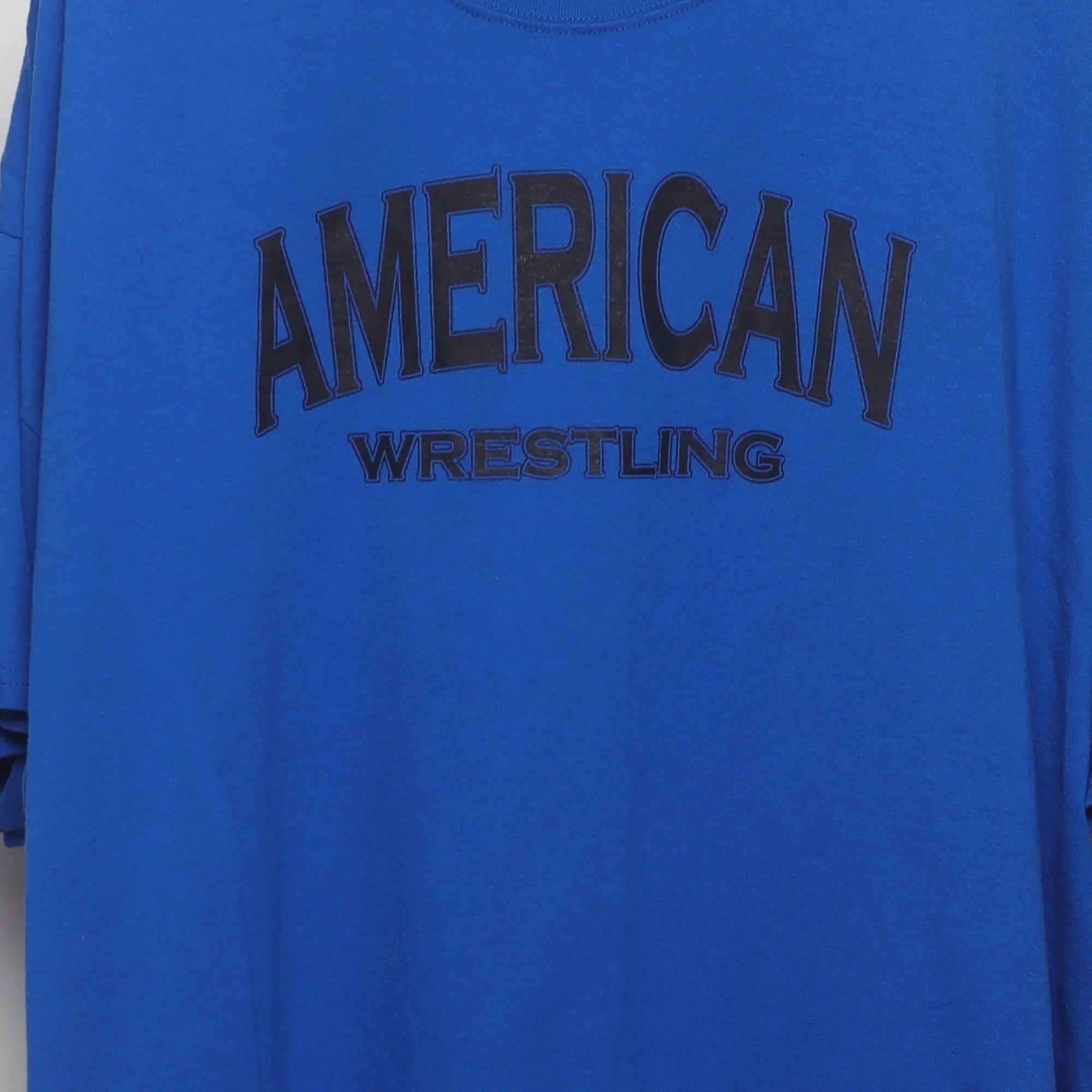 Close-up of the main graphic on the Vintage 2010s NCAA Wrestling MSG Graphic Tee XXL