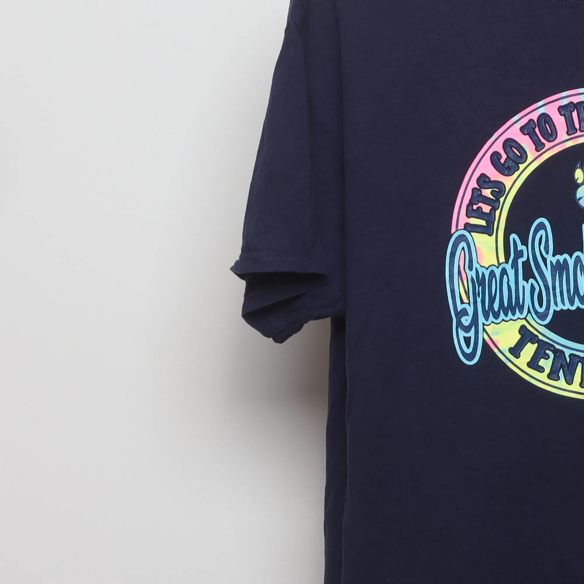 Close-up of the sleeve on the Vintage 2010s Smoky Mountains Pastel Souvenir T-Shirt L