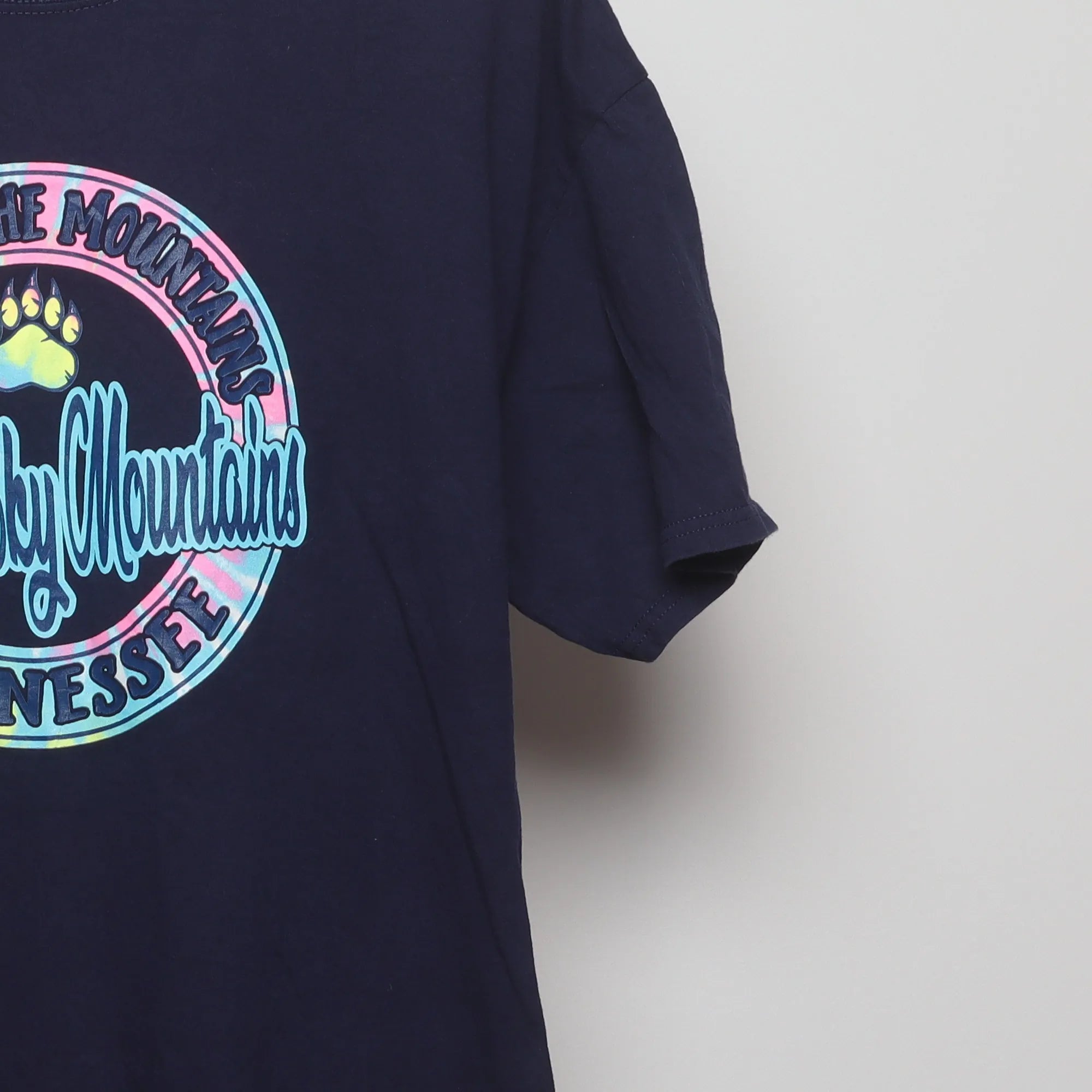 Close-up of the sleeve on the Vintage 2010s Smoky Mountains Pastel Souvenir T-Shirt L