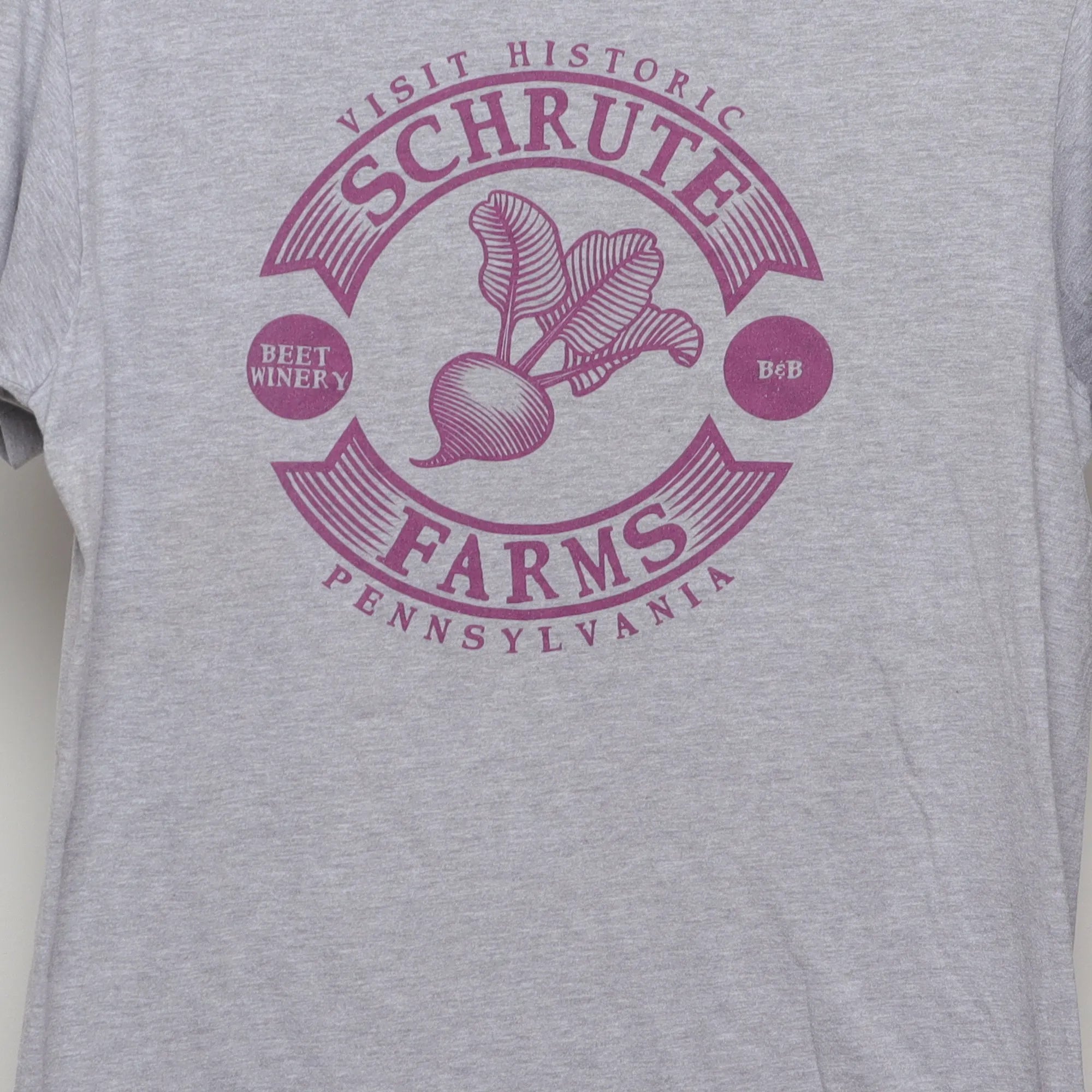 Close-up of the main graphic on the Vintage 2010s The Office Schrute Farms Graphic Tee M
