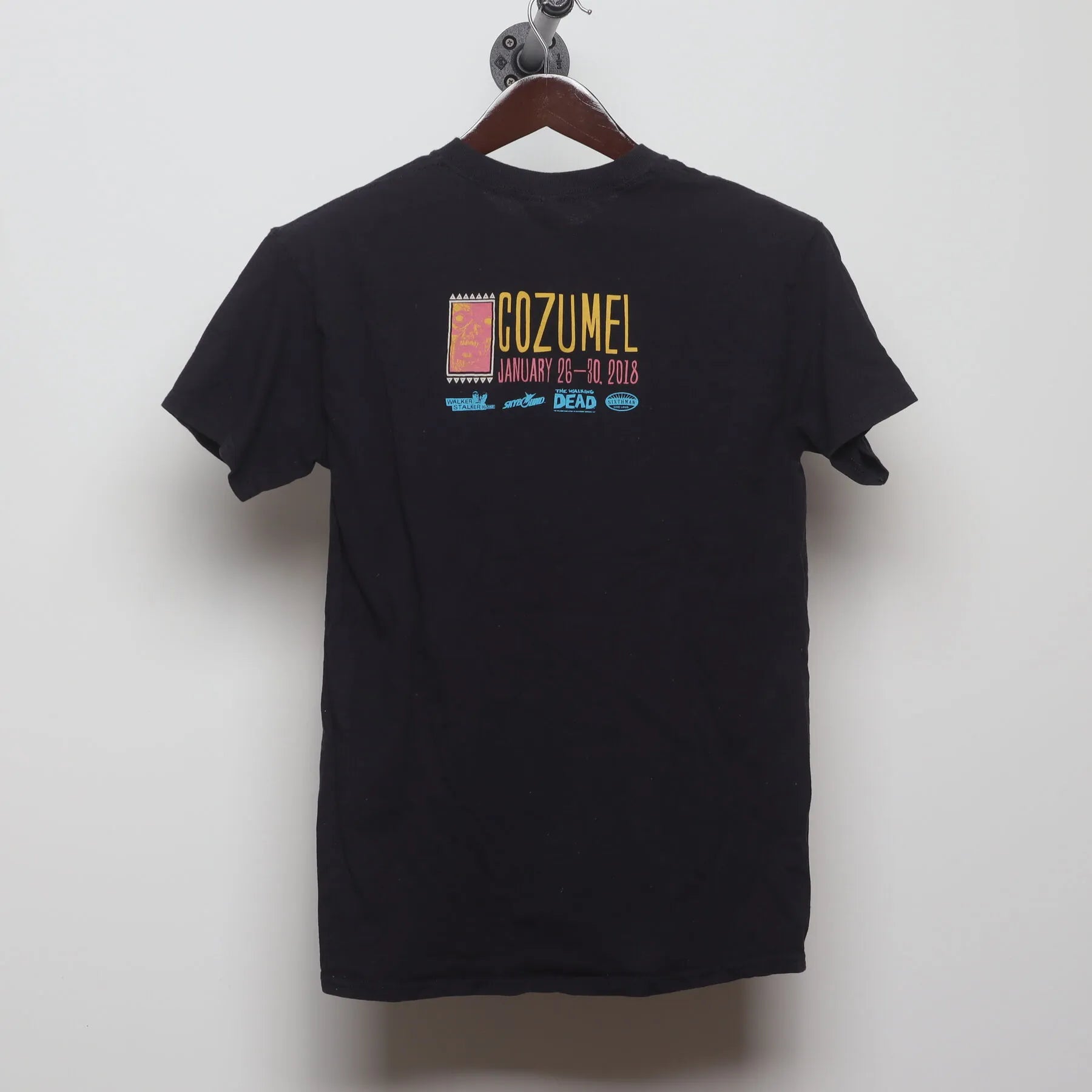 Back view of Vintage 2010s Walker Stalker Cruise "The Walking Dead Fan Cruise 2018" T-Shirt - S