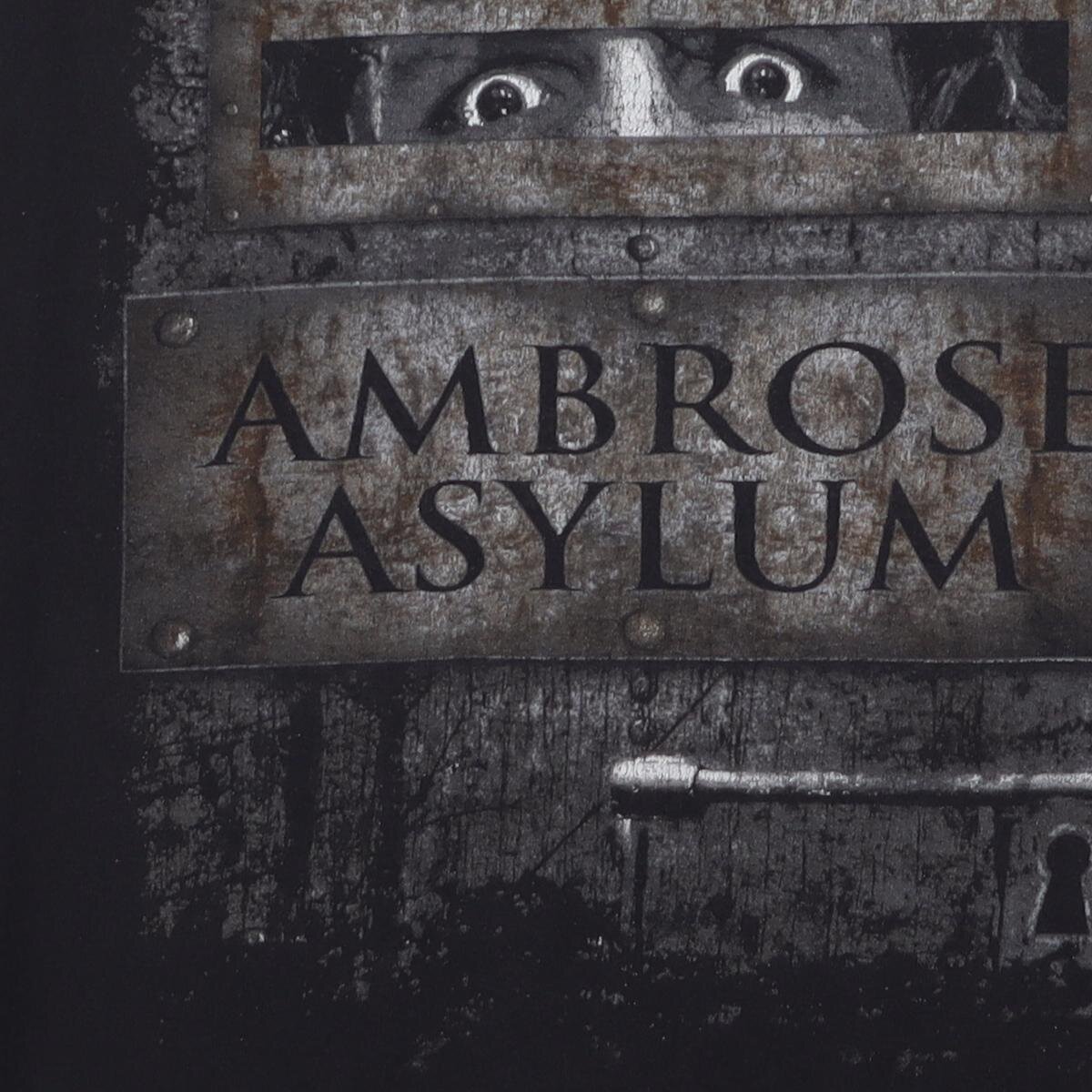 Close-up of the main graphic on the Vintage 2010s WWE Dean Ambrose "Ambrose Asylum" T-Shirt - XXL