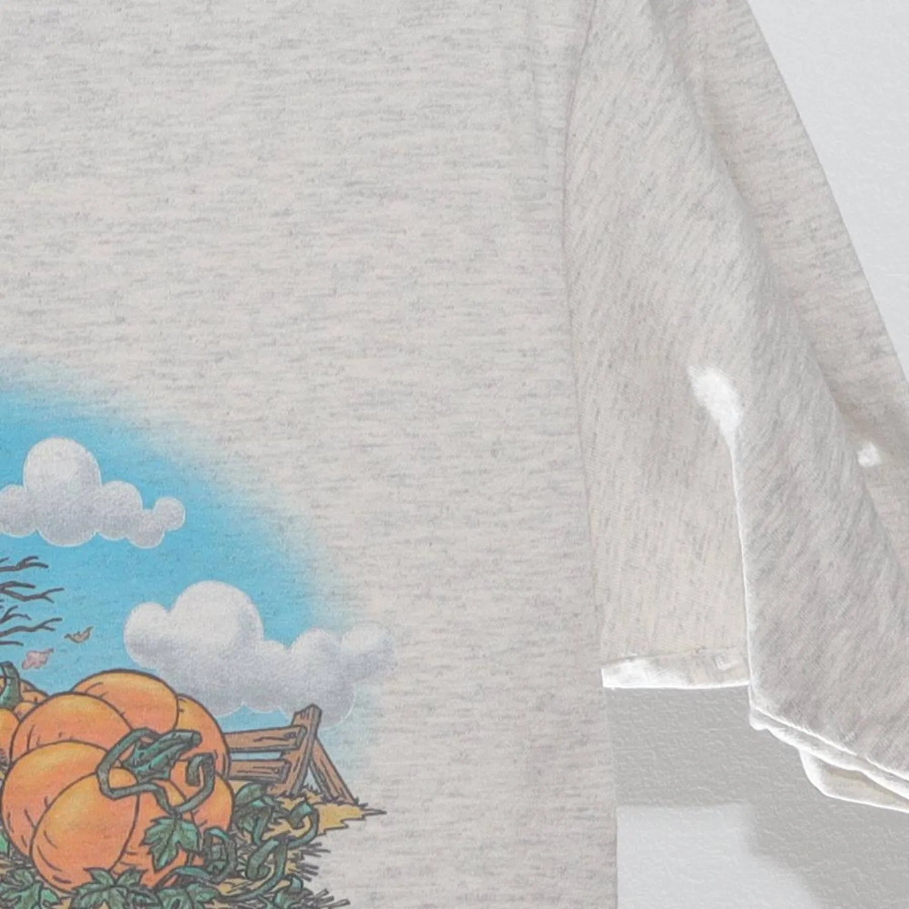Close-up of the Right sleeve on the Vintage 1990s Disney Winnie the Pooh "Pooh's Hayride" T-Shirt - S