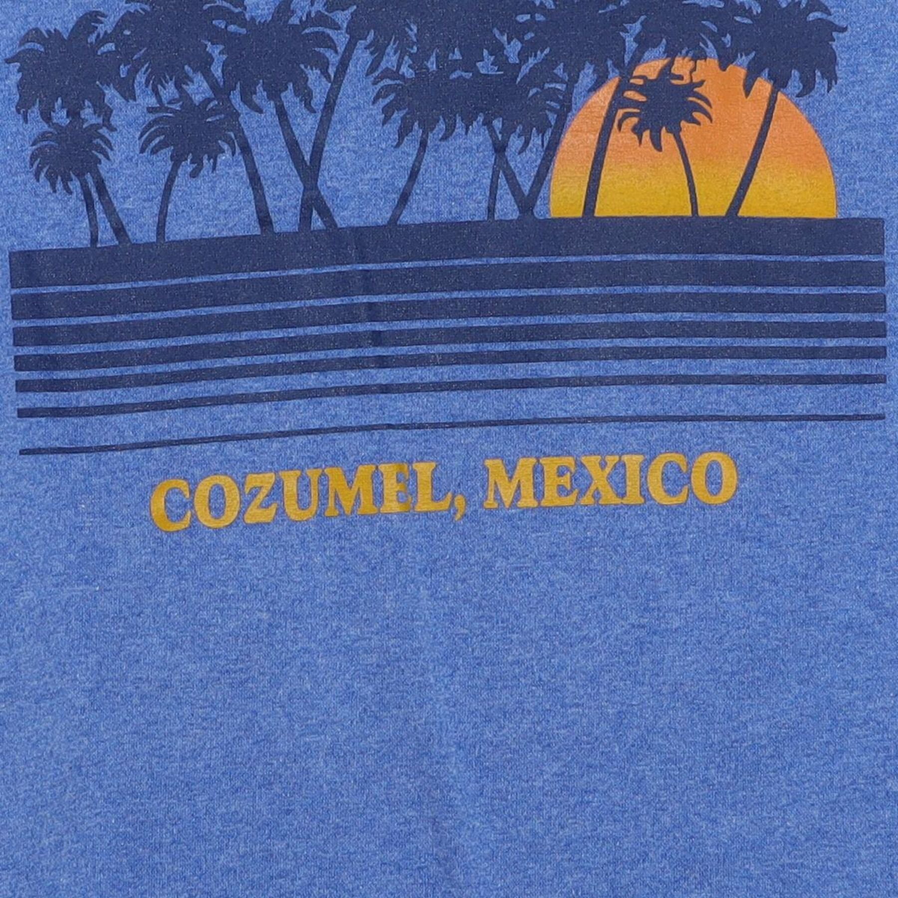 Close-up of the main graphic on the Vintage Y2K Cozumel Mexico "Sunset Palm Trees" T-Shirt - M