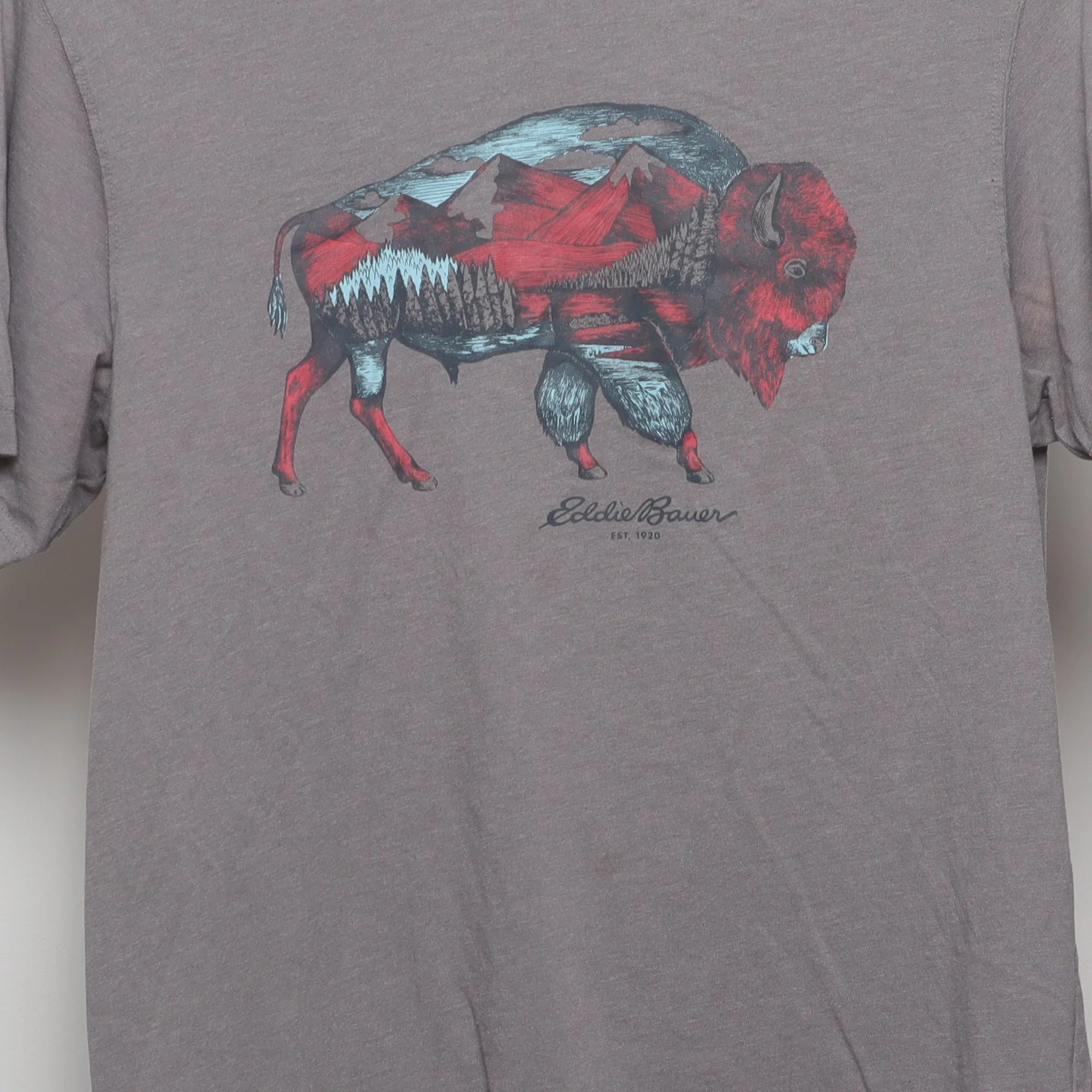 Close-up of the main graphic on the Vintage Eddie Bauer Bison Landscape Graphic Tee M