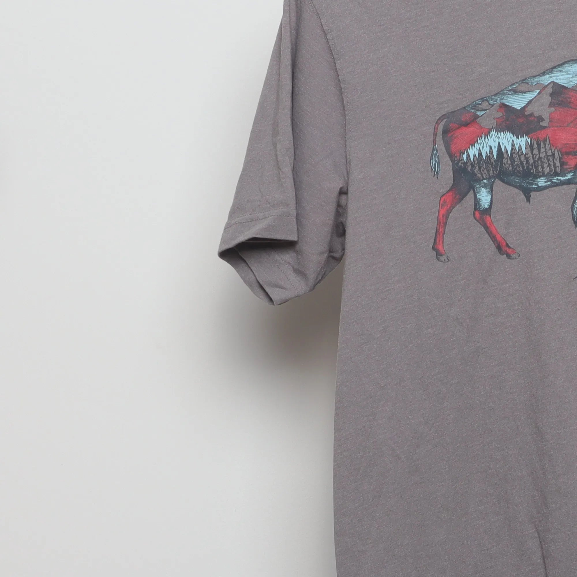Close-up of the sleeve on the Vintage Eddie Bauer Bison Landscape Graphic Tee M