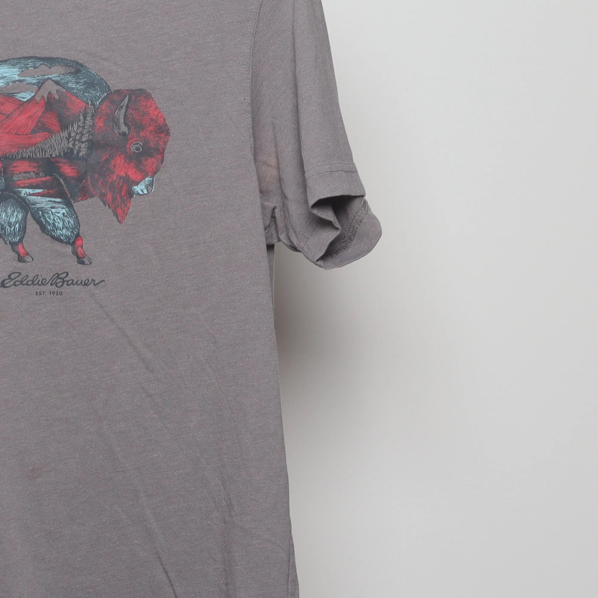 Close-up of the sleeve on the Vintage Eddie Bauer Bison Landscape Graphic Tee M