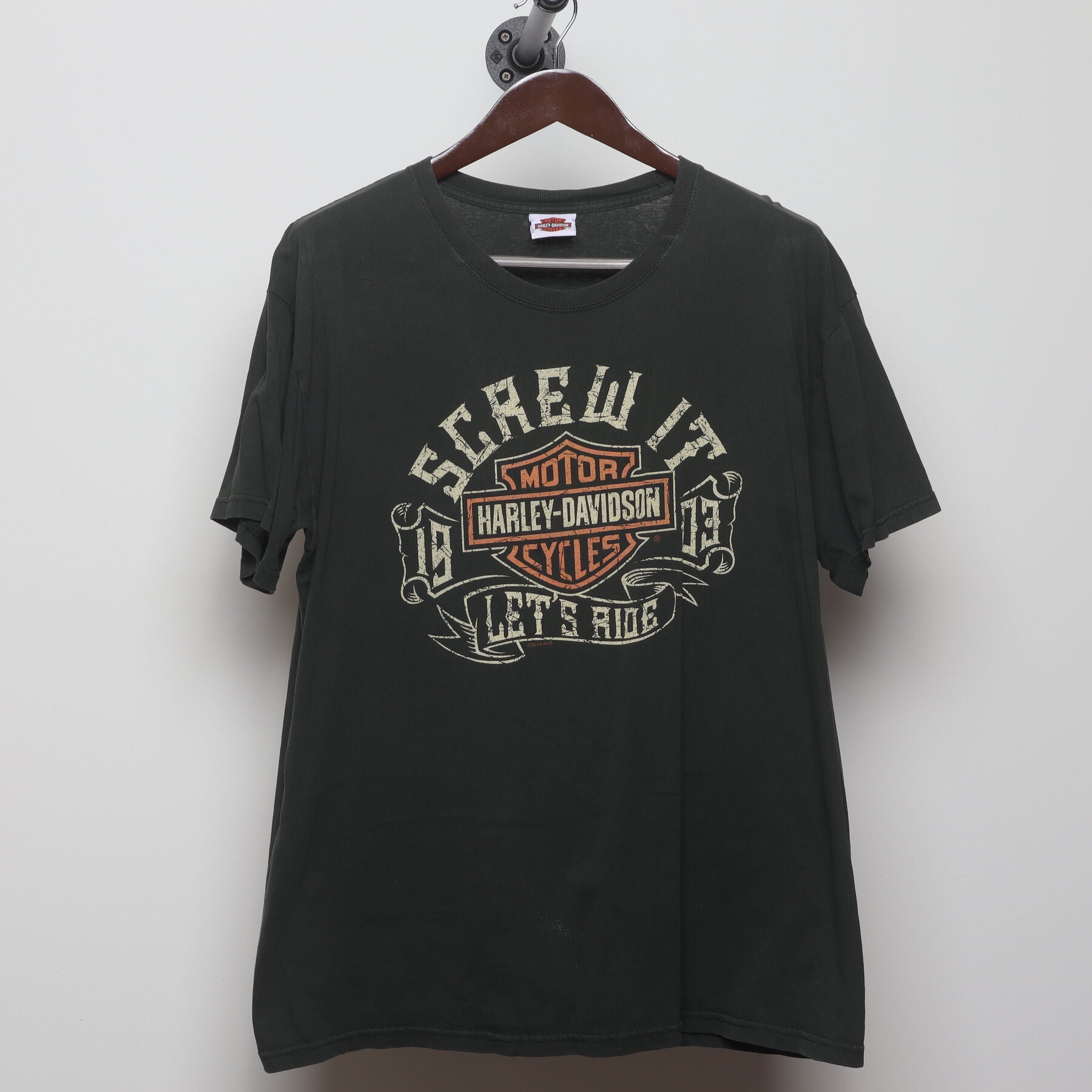 Front view of Vintage Y2K Harley-Davidson "Horny Toad" T-Shirt - L