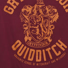 Close-up of the main graphic on the Vintage Modern Harry Potter "Gryffindor Quidditch" T-Shirt - XL