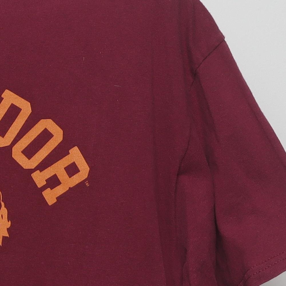 Close-up of the sleeve on the Vintage Modern Harry Potter "Gryffindor Quidditch" T-Shirt - XL