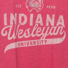 Close-up of the main graphic on the Vintage Modern Indiana Wesleyan University "Wildcats" T-Shirt - S
