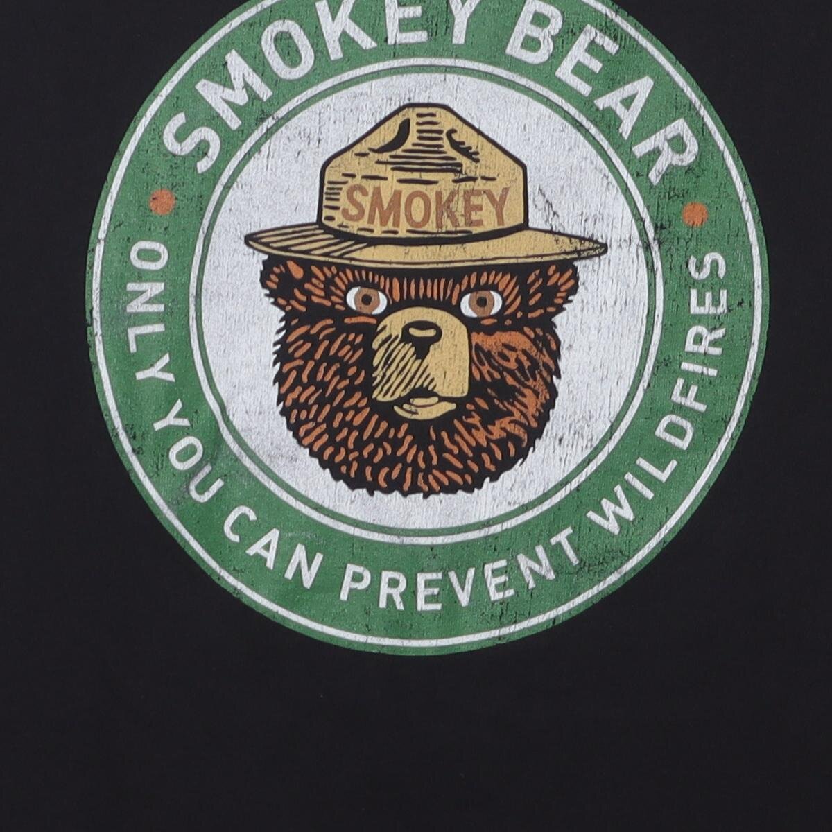 Close-up of the main graphic on the Vintage Modern Smokey Bear "Only You Can Prevent Wildfires" T-Shirt - M