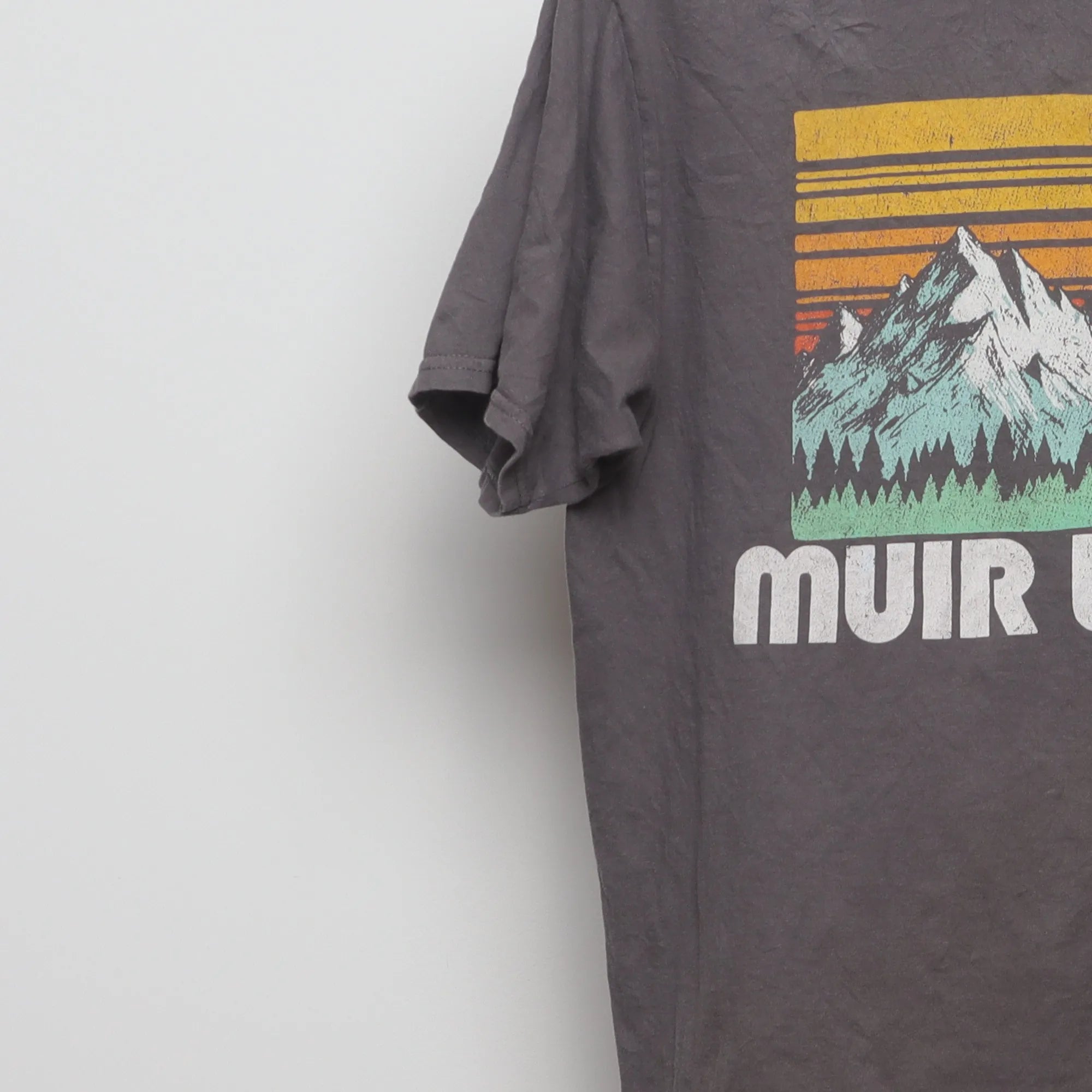 Close-up of the sleeve on the Vintage Muir Woods Retro Sunset Graphic T-Shirt L