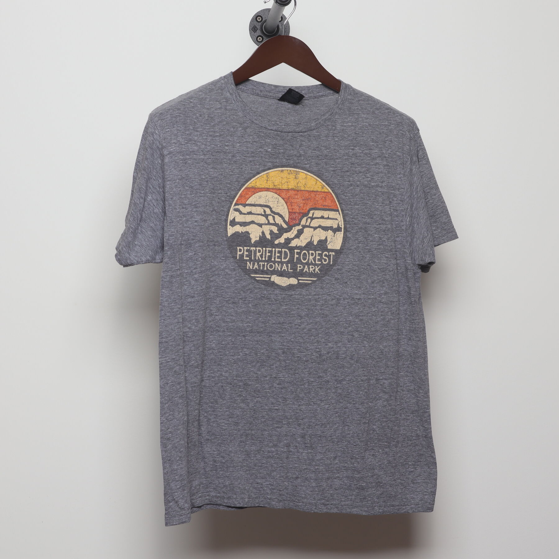 Front view of Vintage Y2K Petrified Forest National Park "Desert Sunset" T-Shirt - M