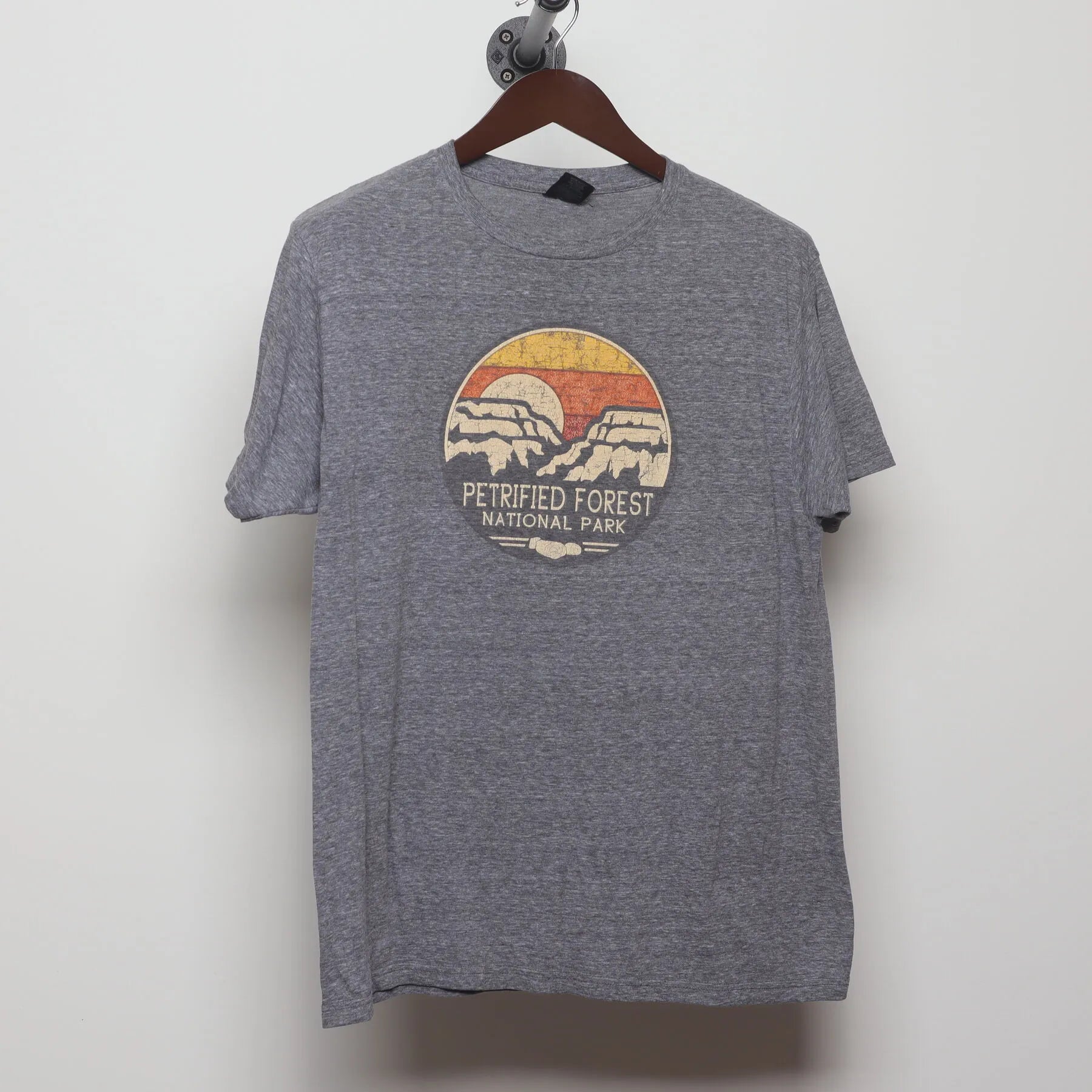 Front view of Vintage Y2K Petrified Forest National Park "Desert Sunset" T-Shirt - M