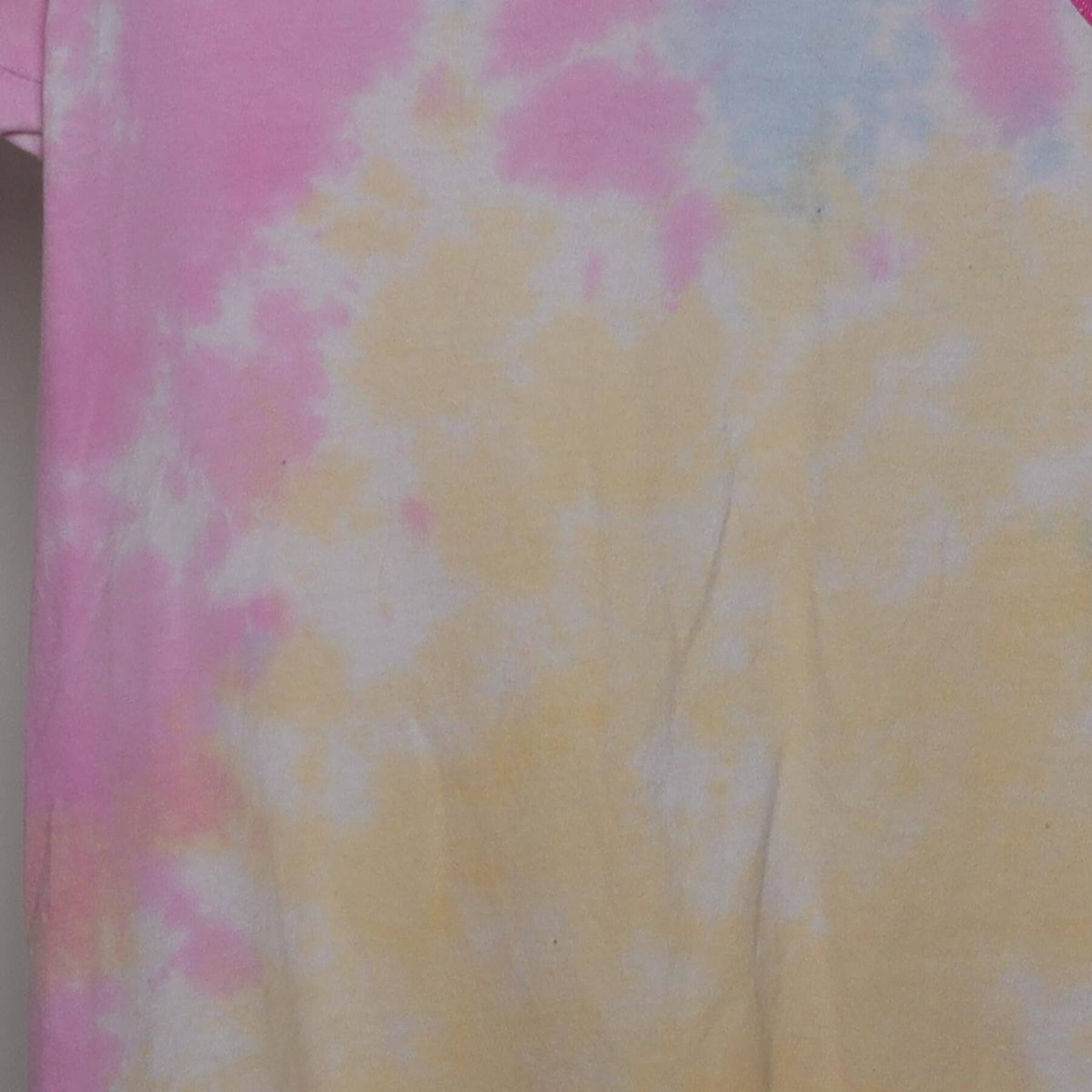 Close-up of the main graphic on the Vintage Y2K Santa Cruz "Classic Dot Logo" T-Shirt - S