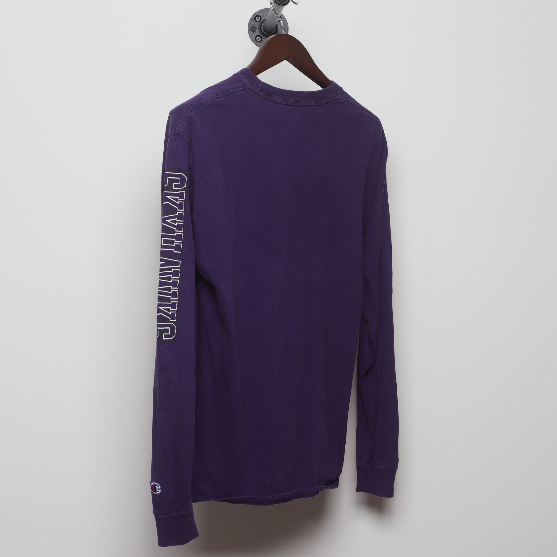 Back view of Vintage Y2K Champion "Stonehill College Skyhawks" T-Shirt - M