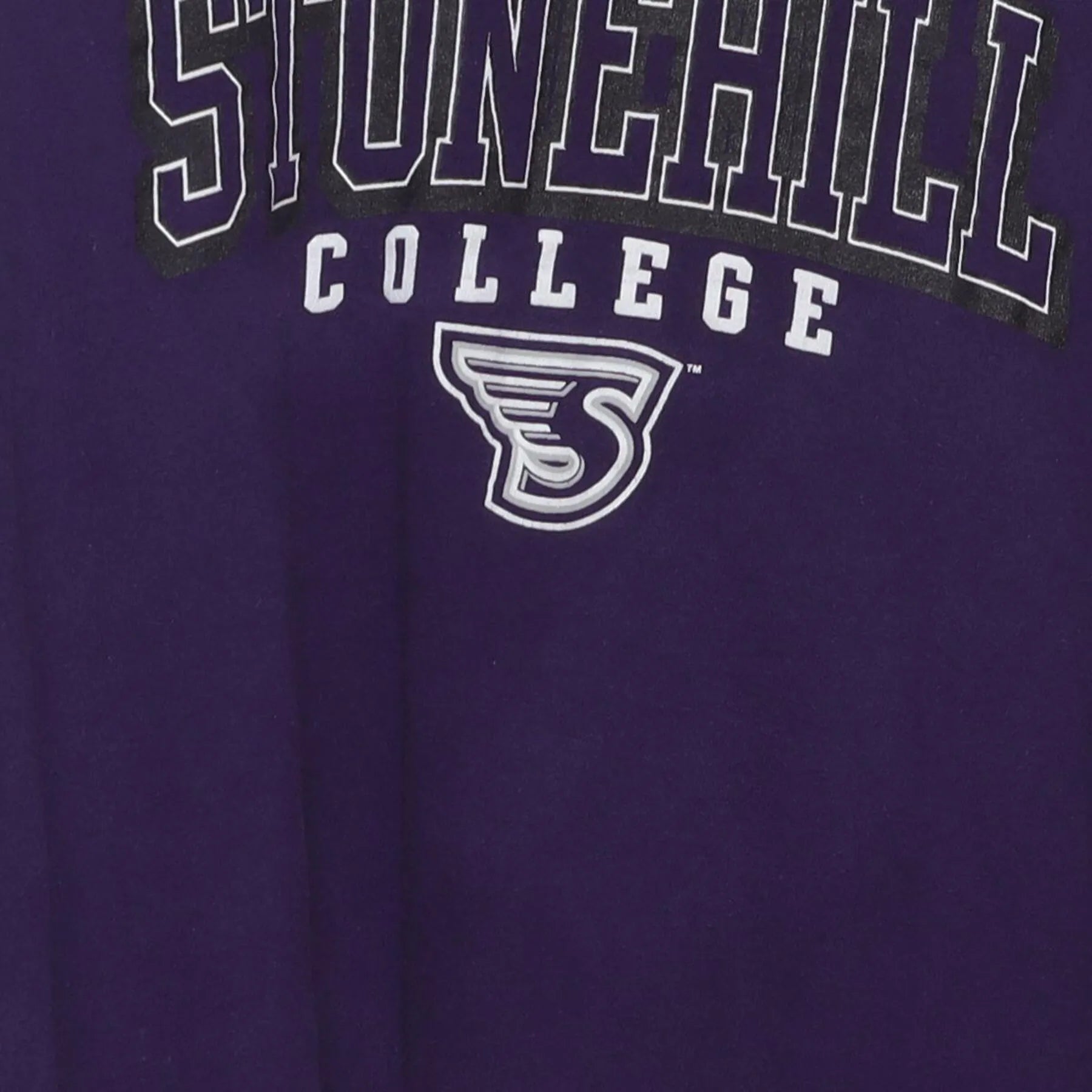 Close-up of the main graphic on the Vintage Y2K Champion "Stonehill College Skyhawks" T-Shirt - M