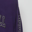 Close-up of the Right sleeve on the Vintage Y2K Champion "Stonehill College Skyhawks" T-Shirt - M