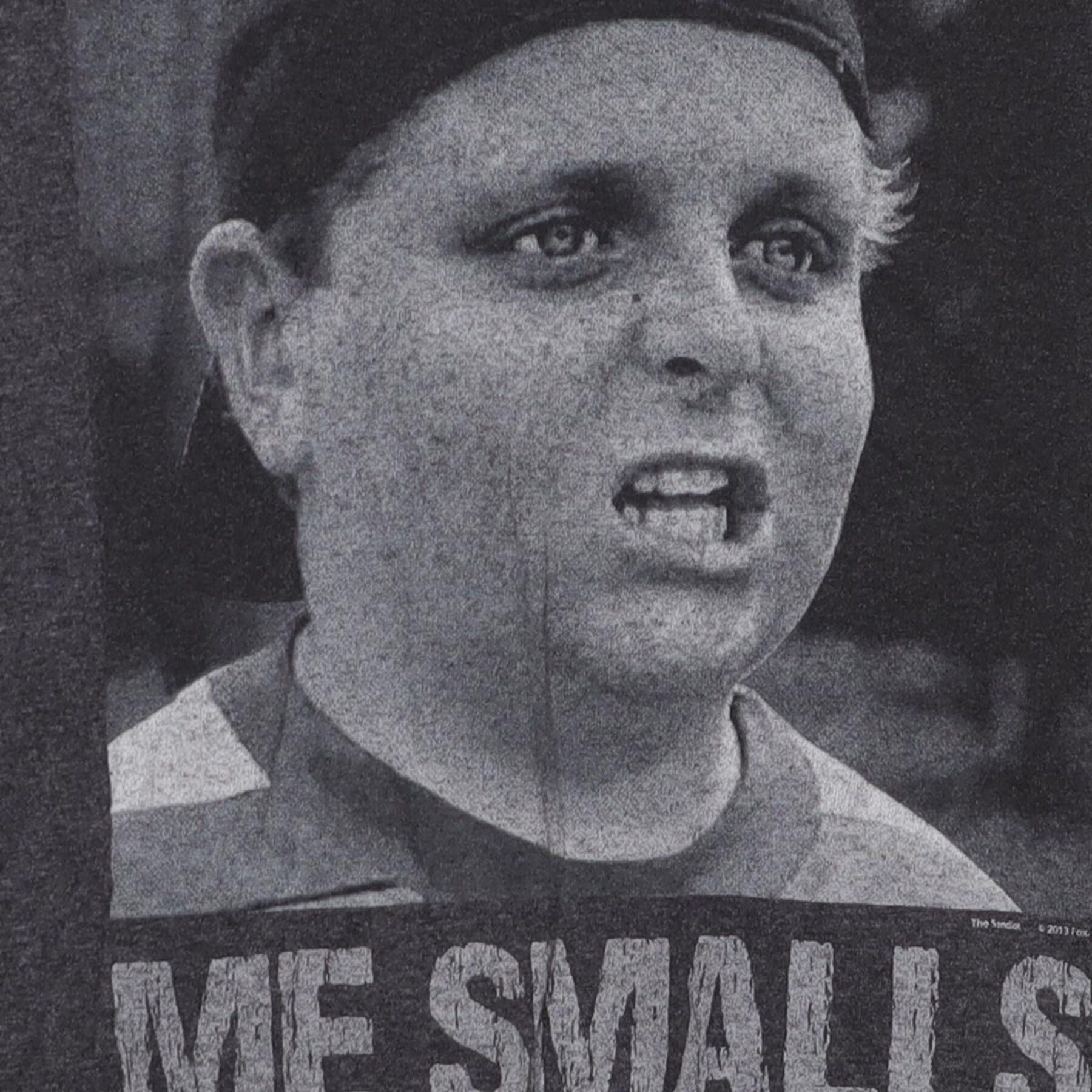 Close-up of the main graphic on the Vintage 1990s The Sandlot "You're Killing Me Smalls" T-Shirt - S