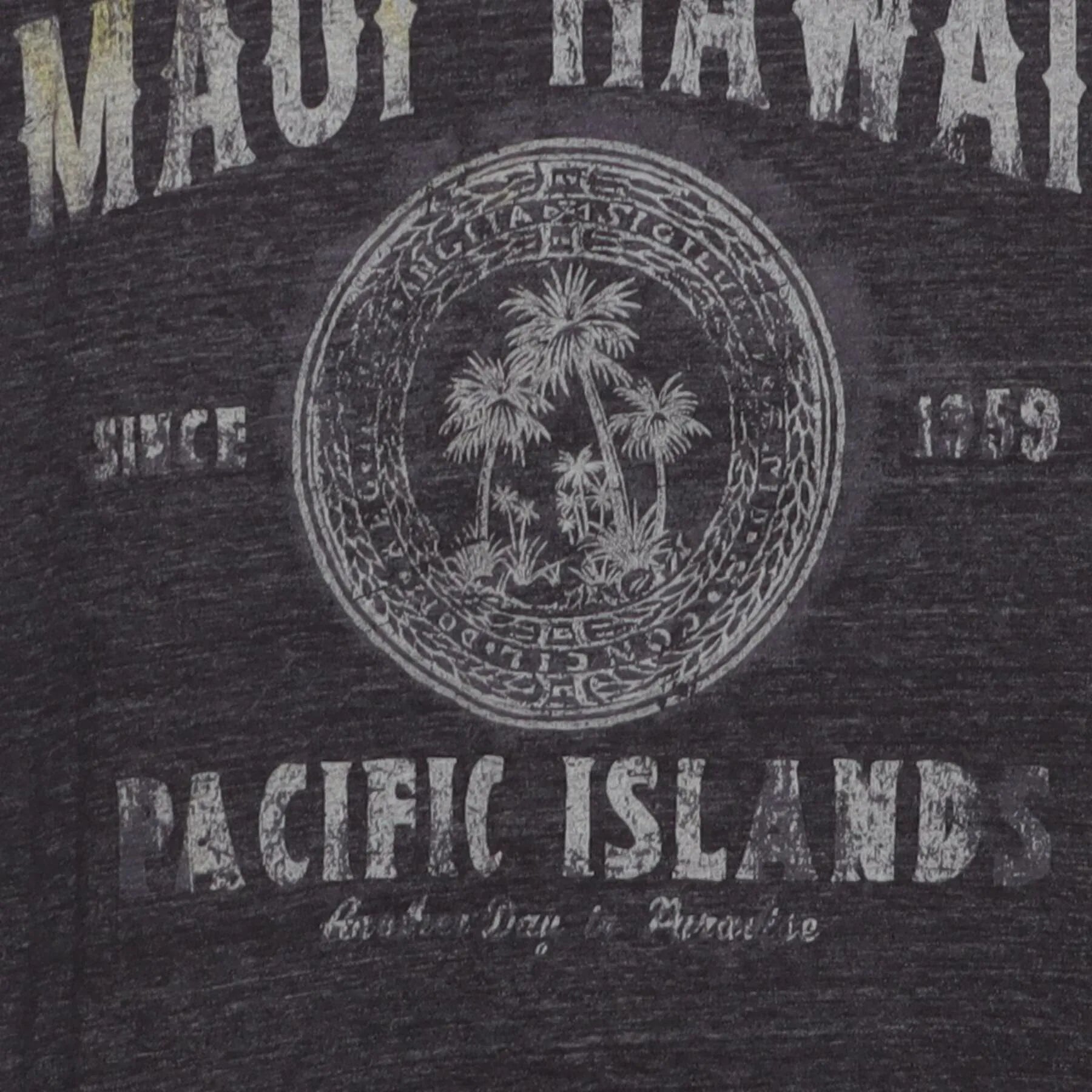 Close-up of the main graphic on the Vintage Y2K Maui Hawaii "Pacific Islands" T-Shirt - S