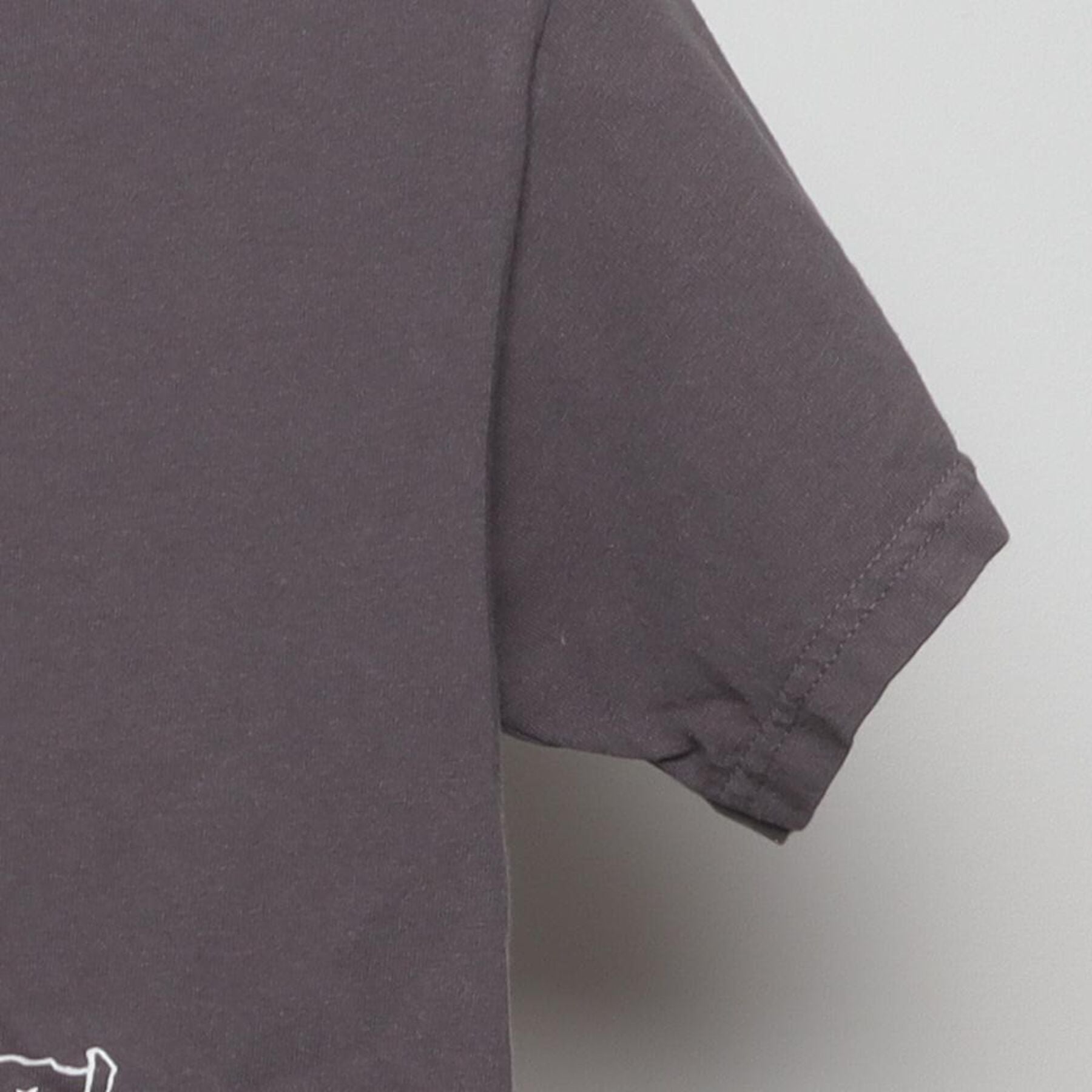 Close-up of the Right sleeve on the Vintage Y2K Sigma Alpha Tau "Pirates of Greek Week" T-Shirt - XS